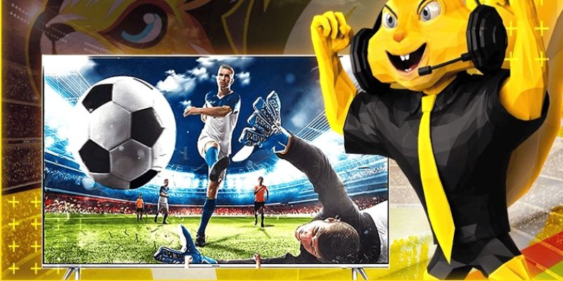 Đại lý Socolive điều kiện