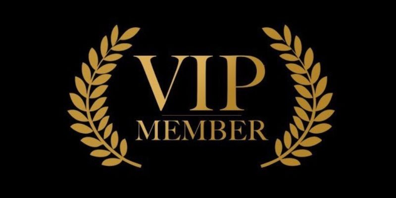 VIP socolive đặc biệt